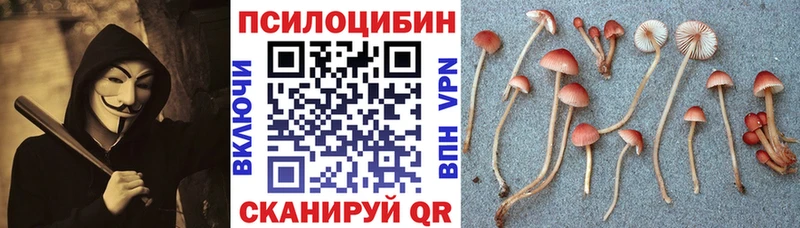 закладка  даркнет состав  Псилоцибиновые грибы GOLDEN TEACHER  Сосновка 