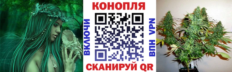 где найти Сосновка Марихуана марихуана